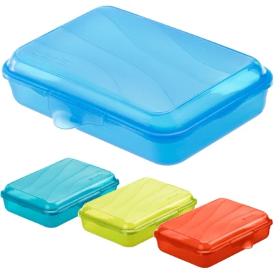 Afbeelding van Rotho Fun Lunchbox 0.45L Transparant
