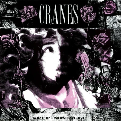 Afbeelding van Cranes Self Non (LP)