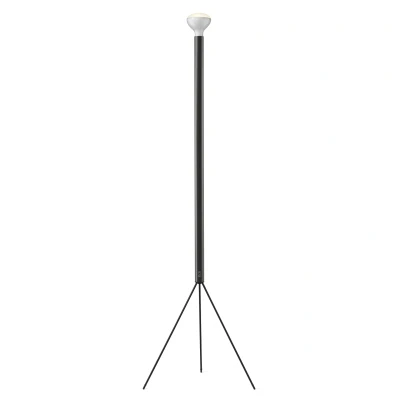 Afbeelding van Flos Luminator vloerlamp antraciet