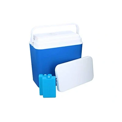 Afbeelding van Koelbox 12V 24 Liter met 2 Koelelementen Deksels