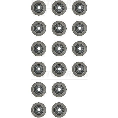 Afbeelding van Reinz Klepsteeldichting 12 54206 01