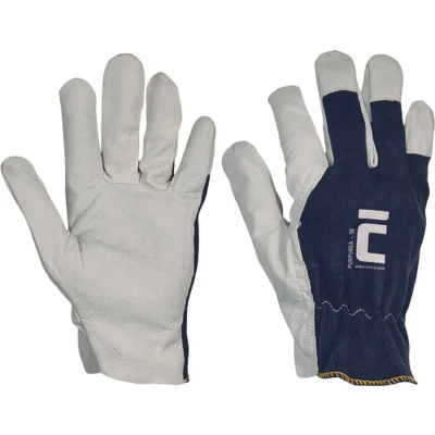 Afbeelding van Cerva PURPUREA handschoenen 01010101 12 stuks Blauw