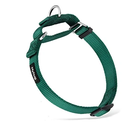 Afbeelding van Hyhug Duurzame nylon verstikkingshalsband, geschikt voor dagelijks gebruik en training van kleine, middelgrote grote honden (klein, donkergroen)