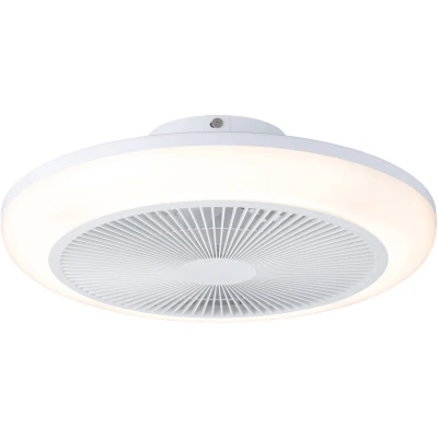 Afbeelding van EGLO Sayulita 1 Plafondlamp met ventilator 46 cm Instelbaar Wit licht DC energy saving Dimbaar 3 Standen
