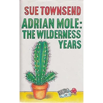 Afbeelding van Adrian Mole Sue Townsend