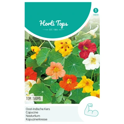 Afbeelding van Tropaeolum, Oost Indische Kers Tom Thumb