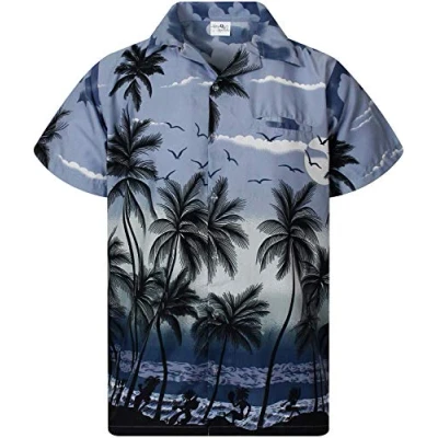 Afbeelding van Funky Hawaiiaans Overhemd, Hawaii Korte Mouw, Beach, Grijs, 4XL