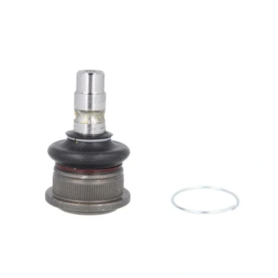 Afbeelding van Moog Fuseekogel FI BJ 13610