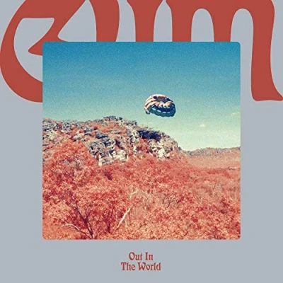Afbeelding van Gum Out In the World (LP)