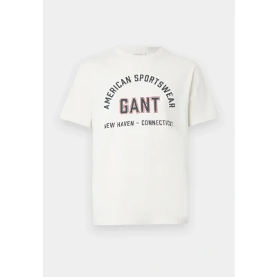 Afbeelding van GANT Printed Graphic Tshirt print, Heren, Maat: Medium, Cream