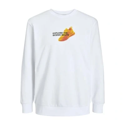 Afbeelding van JACK &amp; JONES JCOEDITION Sweat Crew Neck GC, wit, S