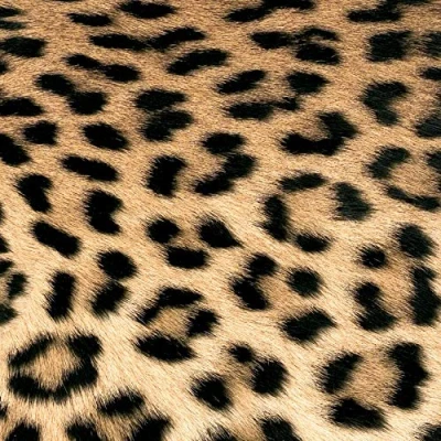Afbeelding van 20 servetten bont van luipaard dieren Afrika patroon 33x33cm