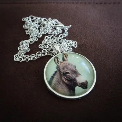 Afbeelding van GoedeDoelen.Shop Ketting Charly Ezel Dieren Sieraad Dierenwelzijn Cadeautje Wellness House