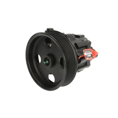 Afbeelding van Lauber Servopomp 55.2906