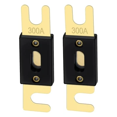 Afbeelding van Heschen ANL zekering 300 Amp voor auto voertuigen audiosysteem blad goud toon &amp; zwart 2 Pack
