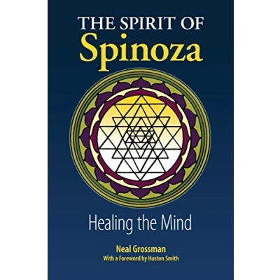 Afbeelding van The Spirit of Spinoza