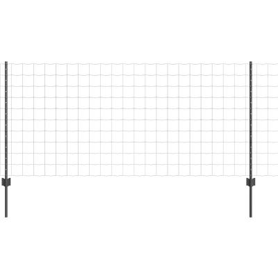 Afbeelding van vidaXL Tuinhek Set van 2 Grijs Gepoedercoat staal 10 x 1 m
