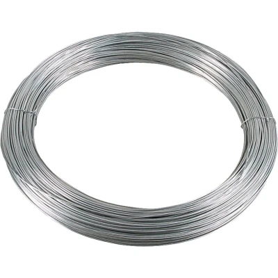 Afbeelding van Hofman Draad verzinkt 704 m 2,4 mm One Size Kleurloos