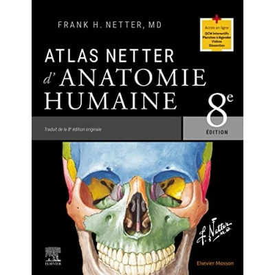 Afbeelding van Atlas Netter d&#039;anatomie humaine
