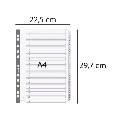 Afbeelding van Tabbladen karton 160g A4 1 31 wit per 10