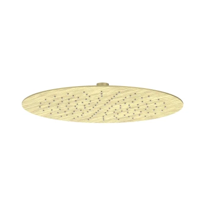 Afbeelding van IVY hoofddouche Geborsteld Mat Goud PVD 30cm 0,2cm