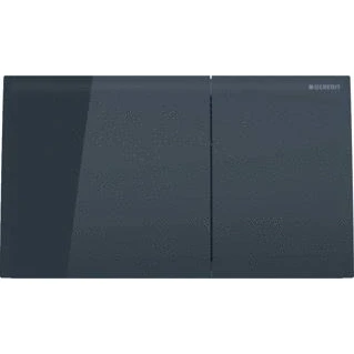 Afbeelding van Geberit sigma 70 bedieningsplaat df frontbediend 25x14 6cm zwart 115 622 sj 1