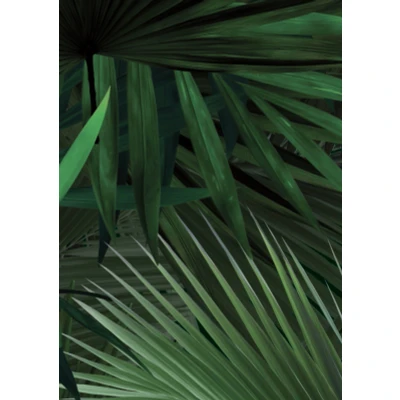 Afbeelding van KEK Palm WP 501 (Met Gratis Lijm)