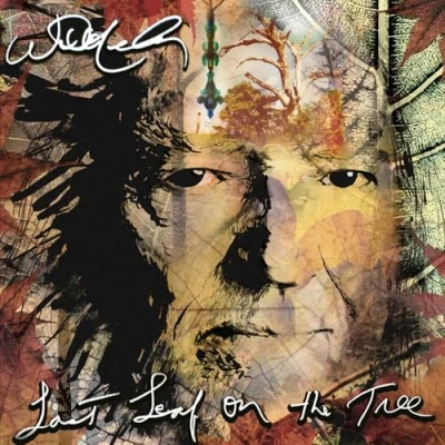 Afbeelding van Willie Nelson Last Leaf On the Tree (CD)