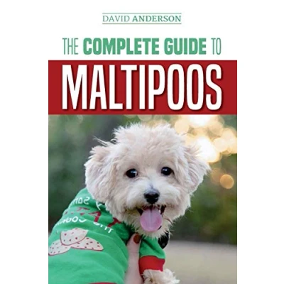 Afbeelding van The Complete Guide to Maltipoos: Everything you need know before getting your Maltipoo dog