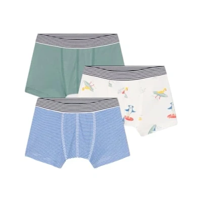Afbeelding van Petit Bateau KIDS Boxers 3 PACK Slip voor kinderen, Maat: 140, Brasier/marshmallow/incognito