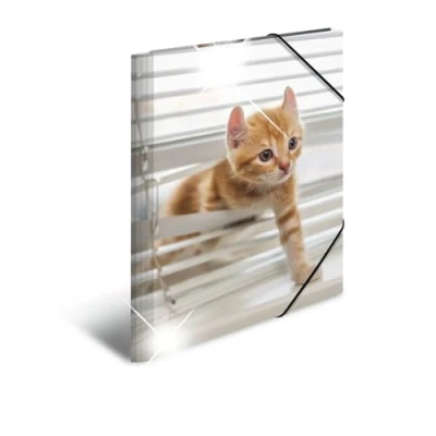 Afbeelding van 3x Elastomappen glossy dieren A3 PP katten