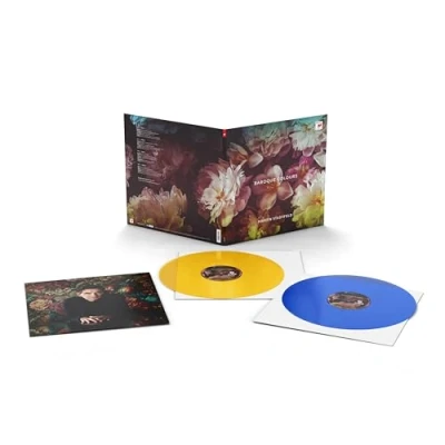 Afbeelding van Martin Stadtfeld Baroque Colours (2 LPs)