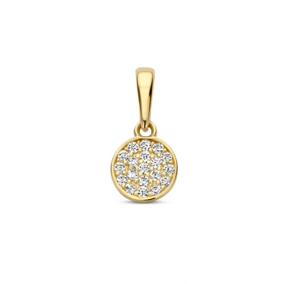 Afbeelding van goud (geelgoud) hanger rondje zirkonia 4026506