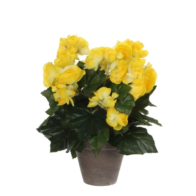 Afbeelding van Mica Decorations begonia maat in cm: 30 x 25 geel