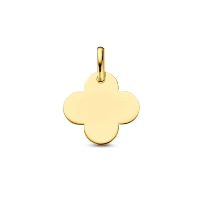 Afbeelding van Hanger Klavertje 14K Geelgoud Symbool van Geluk en Stijl