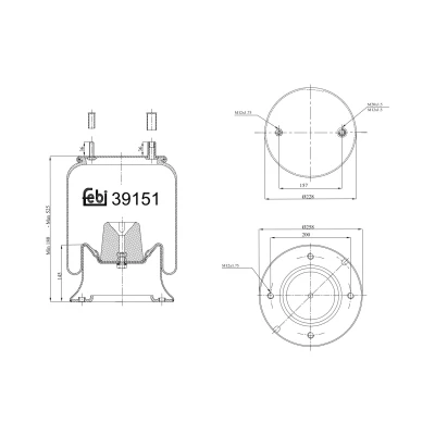Afbeelding van Febi Bilstein Veerbalg 39151
