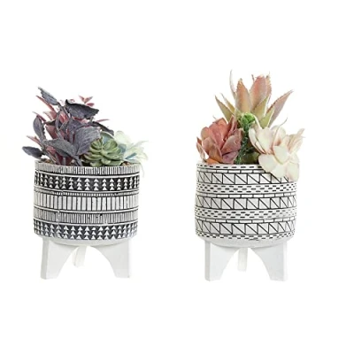 Afbeelding van Decoratieve plant DKD Home Decor Cactus Hars Polyethyleen 11 x 21 cm (2 Stuks)