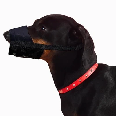 Afbeelding van Dingo 16773 nylon muilkorf voor Jack Russell, teckel, puppy&#039;s, kleine rassen