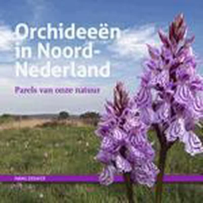 Afbeelding van Orchideeën in Noord Nederland