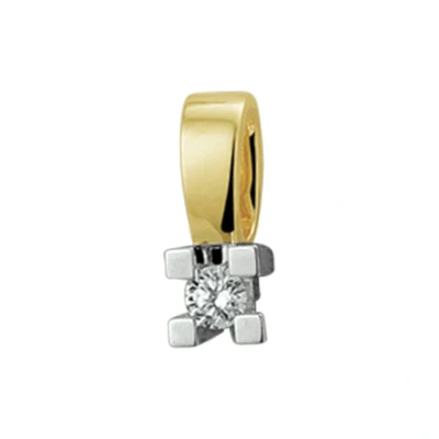 Afbeelding van Trendjuwelier huiscollectie Hanger Bicolor Goud Diamant 0.05ct H SI