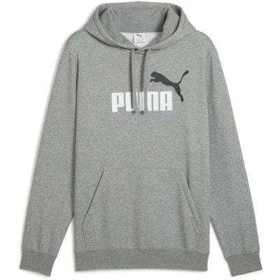 Afbeelding van Puma, Mannen, Springer, ESS 2 KLEUR Nr. 1 Logo Hoodie FL, Grijs, (XL)
