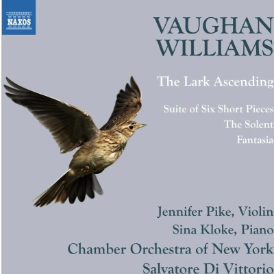 Afbeelding van Chamber Orchestra Of New York, Salvator Di Vittorio Vaughan Williams: The Lark Ascending (CD)