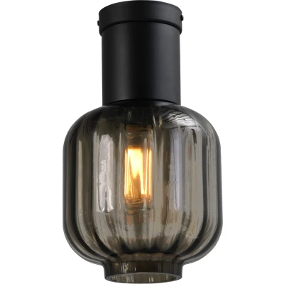 Afbeelding van Masterlight Design plafondlamp Lett lll 20cm zwart met smoke glas 5160 05 20