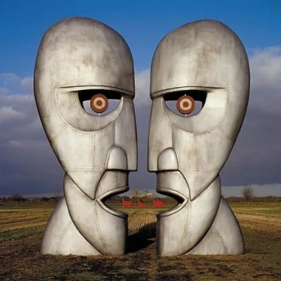 Afbeelding van Pink Floyd Division Bell (2 LPs)