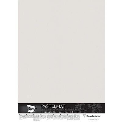 Afbeelding van Clairefontaine 296020C Pastelmat papier, 5 vellen, speciale kaart voor droge pastels, 70 x 100 cm, 360 g, lichtgrijs