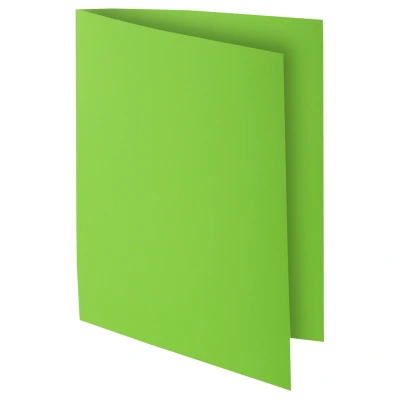 Afbeelding van Subfolder Exacompta Rock&#039;s Munt A4 (100 Stuks)