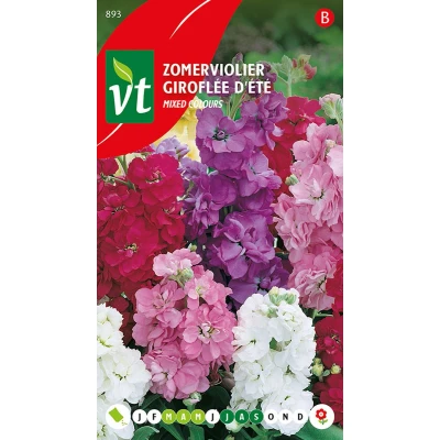 Afbeelding van Zomerviolier Zaden &#039;Gemengd&#039; Kleurrijke Mix voor Zomerbloembedden