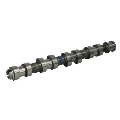 Afbeelding van Kolbenschmidt Nokkenas 50006152
