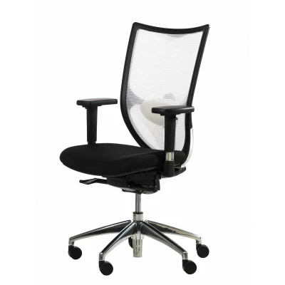 Afbeelding van Ergonomische bureaustoel NPR1813 model 1554 met witte rugleuning