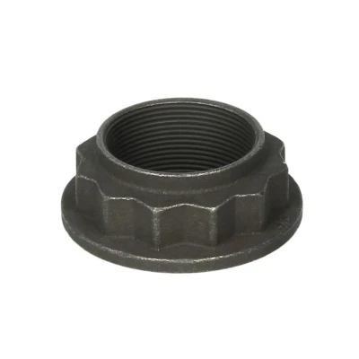 Afbeelding van Febi Bilstein moer / Twaalfkant vlakke 08536